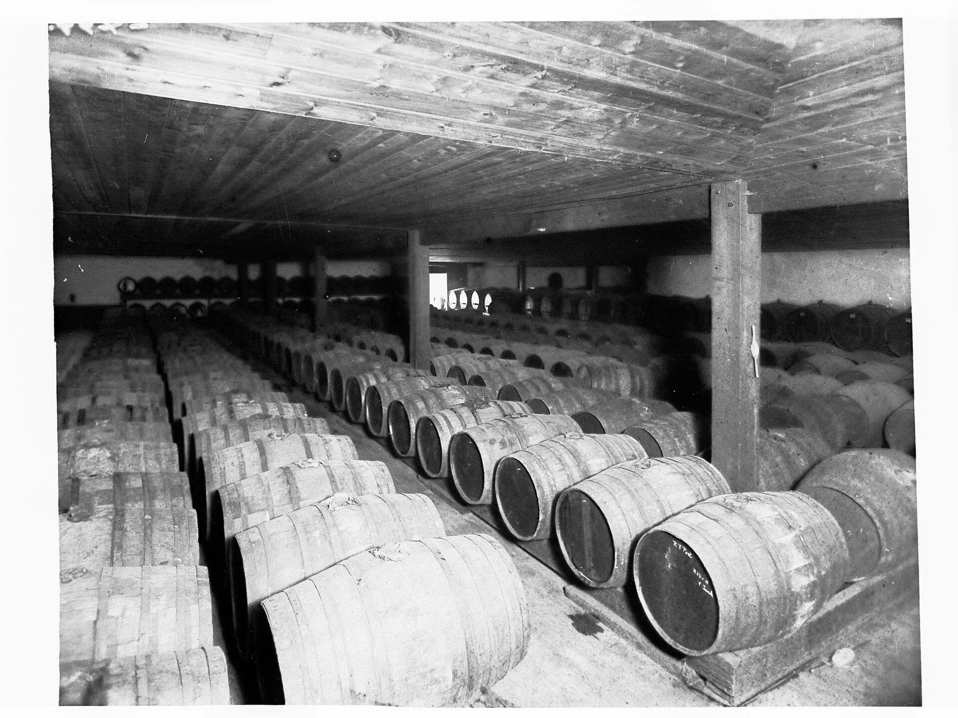 Cabernet Franc